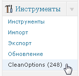 Плагин Clean Options чистит от мусора базу данных блога.